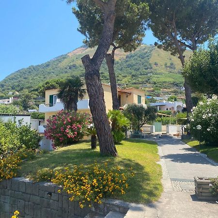 Residence Villa Olivia Forio  Exterior photo