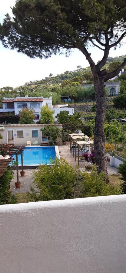 Residence Villa Olivia Forio  Exterior photo