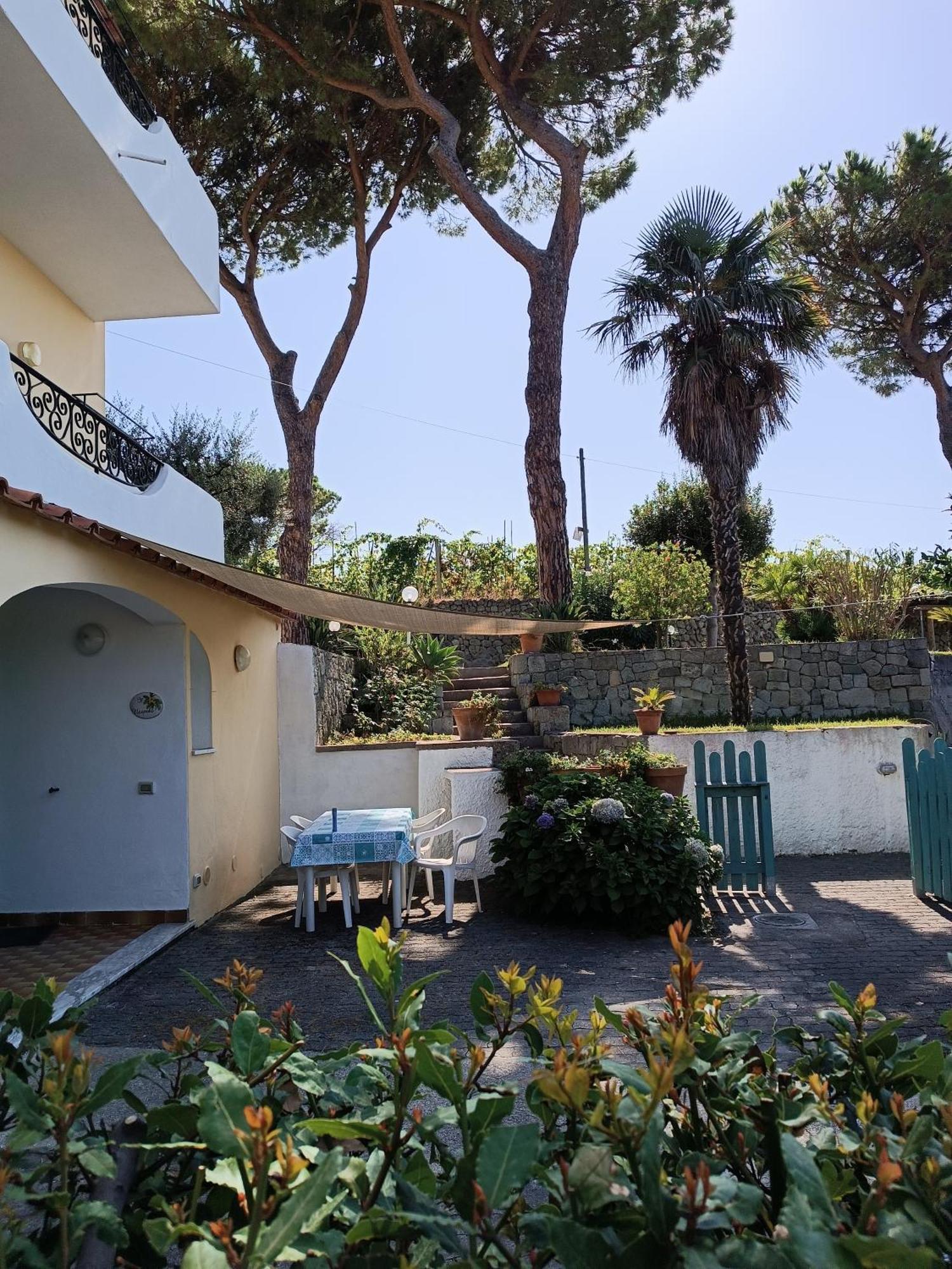 Residence Villa Olivia Forio  Exterior photo